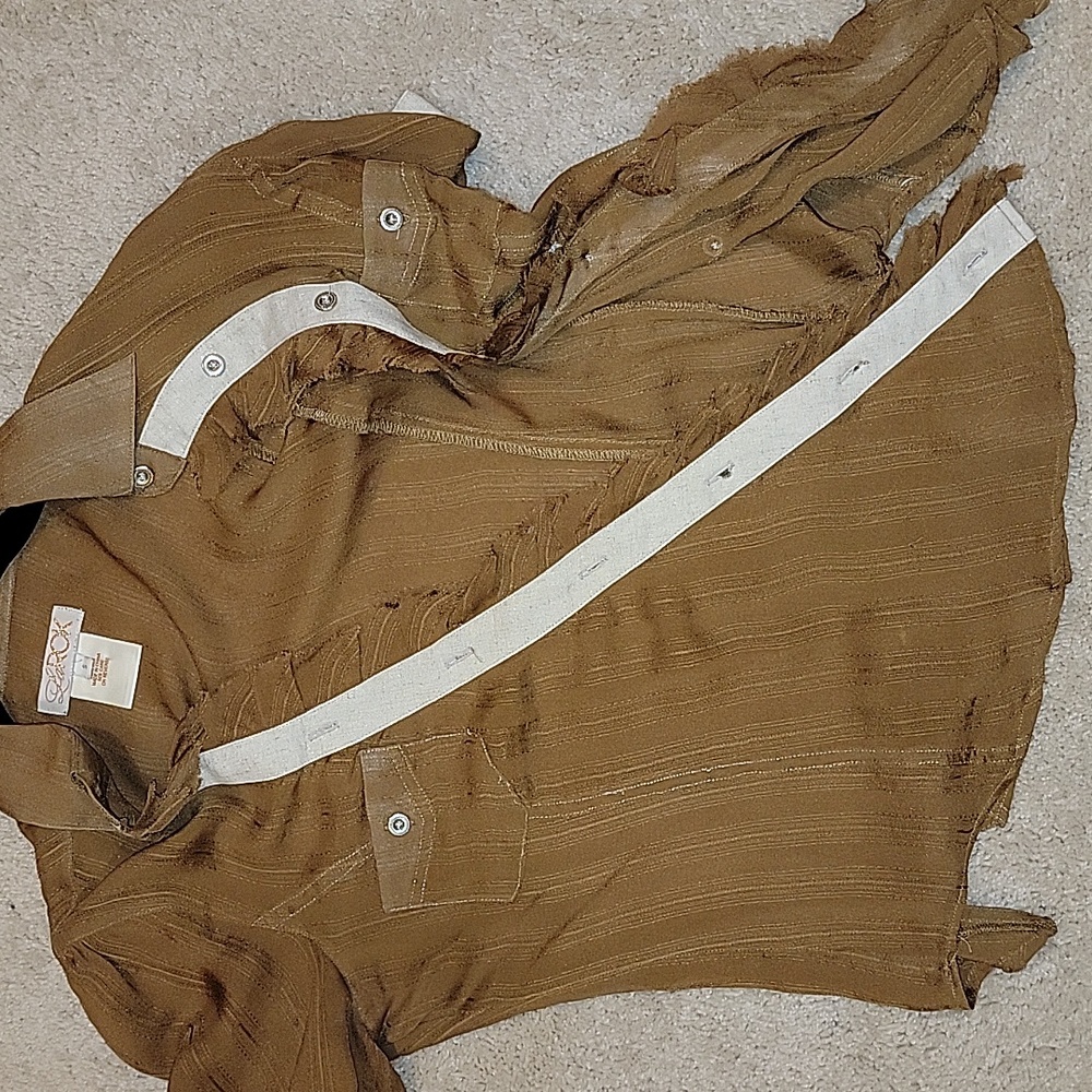 Sheer Blouse - image 4